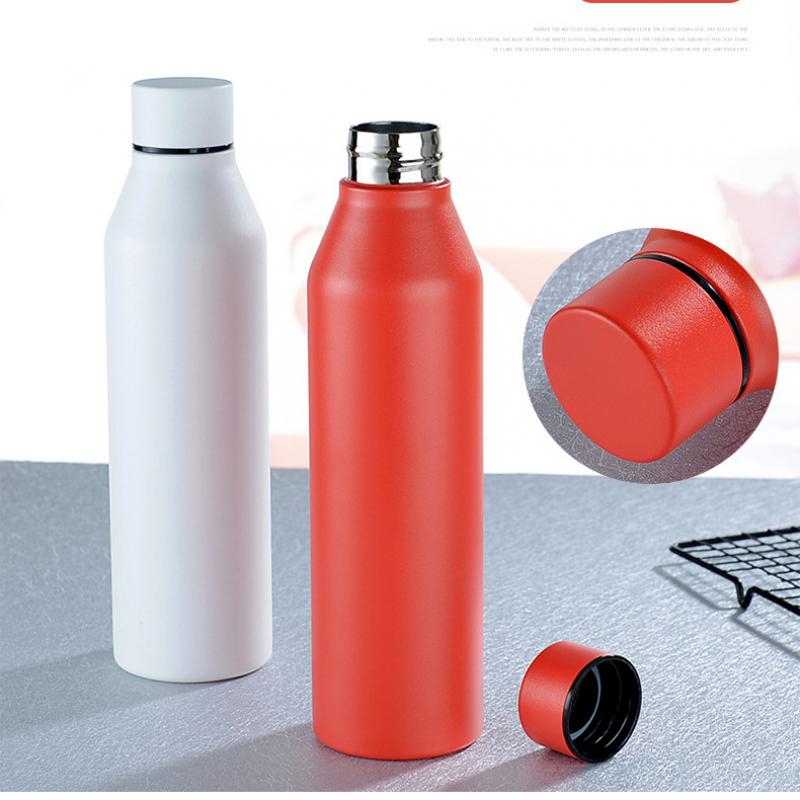 Slim Reusable Water Bottle 500ml #6526